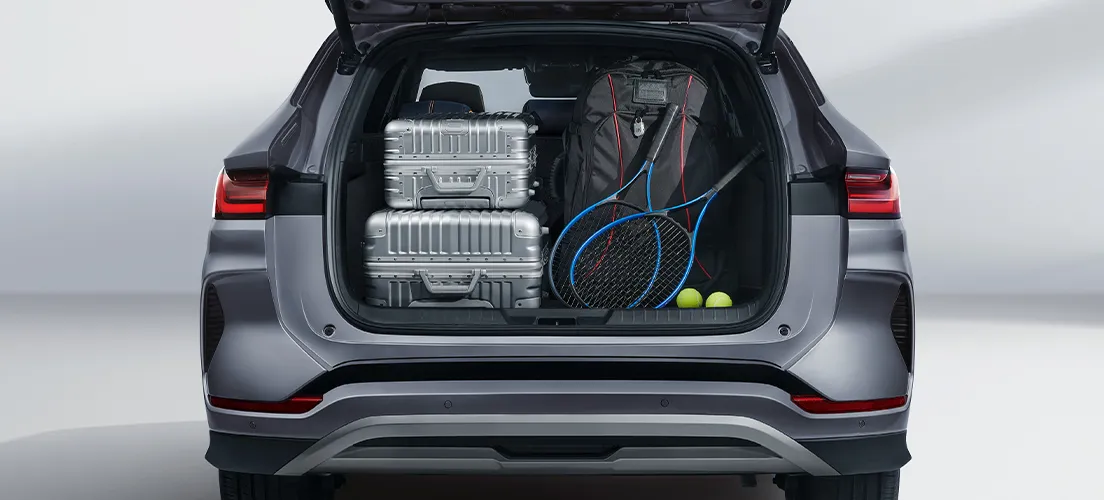 Išskirtinis talpumas